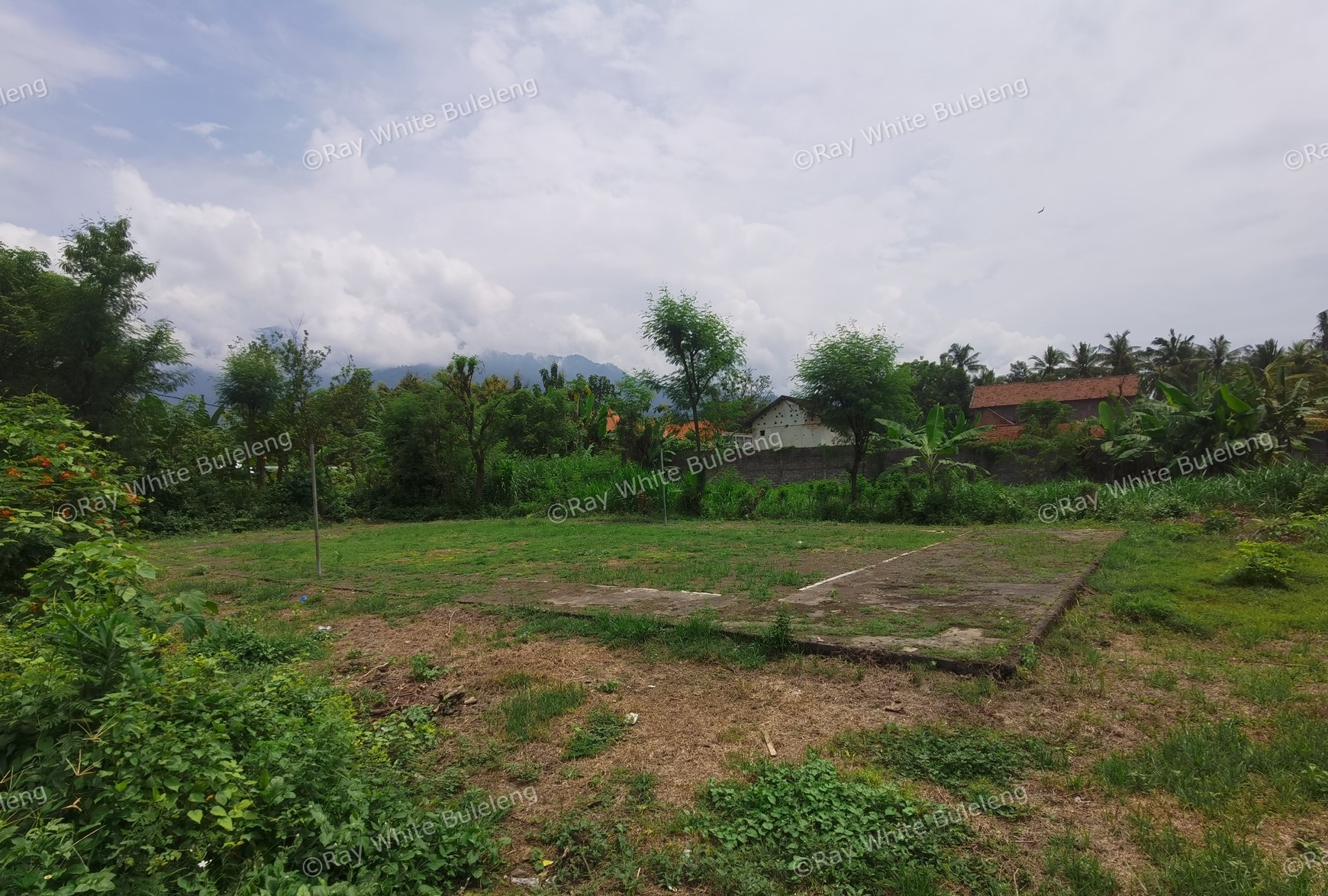 LAND IN THE WEST OF BULELENG