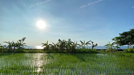 BEACH FRONT LAND LOCATED IN SINGARAJA CITY SIDE