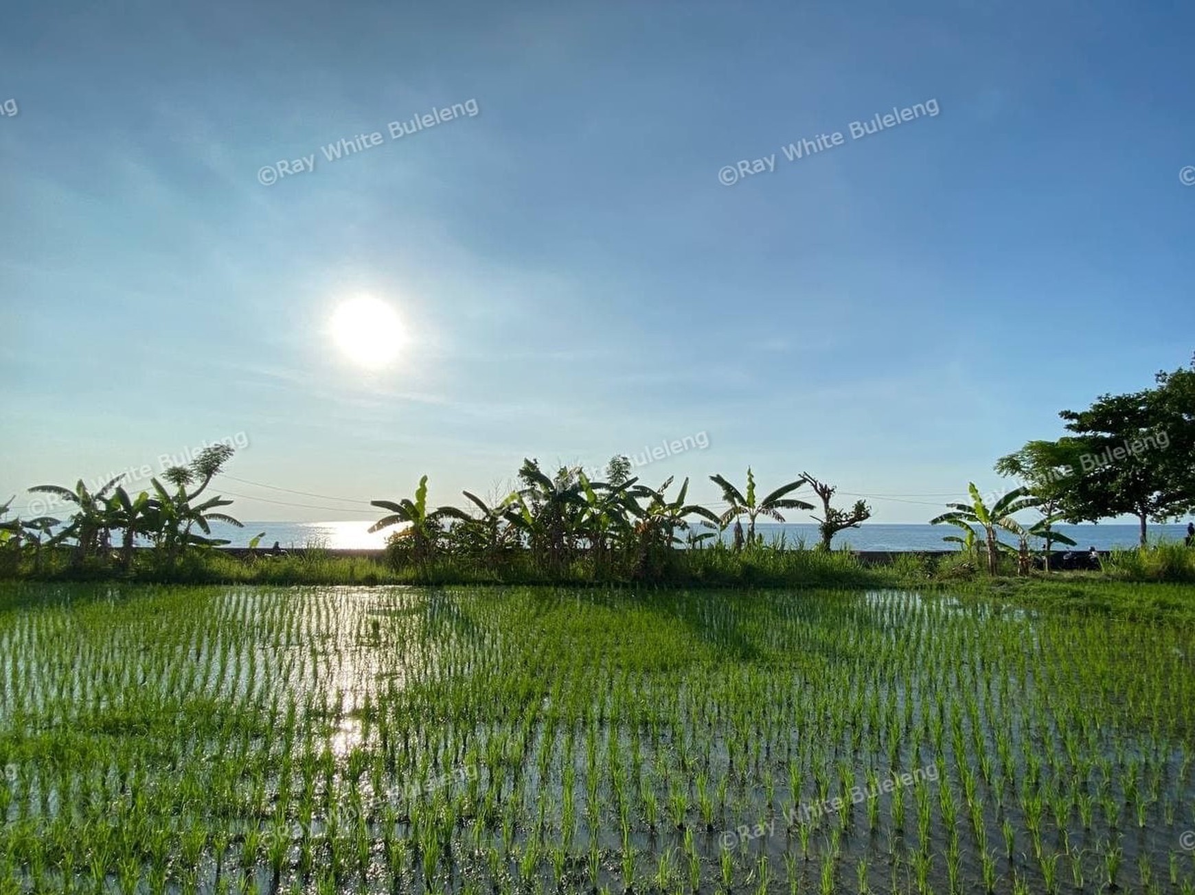 BEACH FRONT LAND LOCATED IN SINGARAJA CITY SIDE