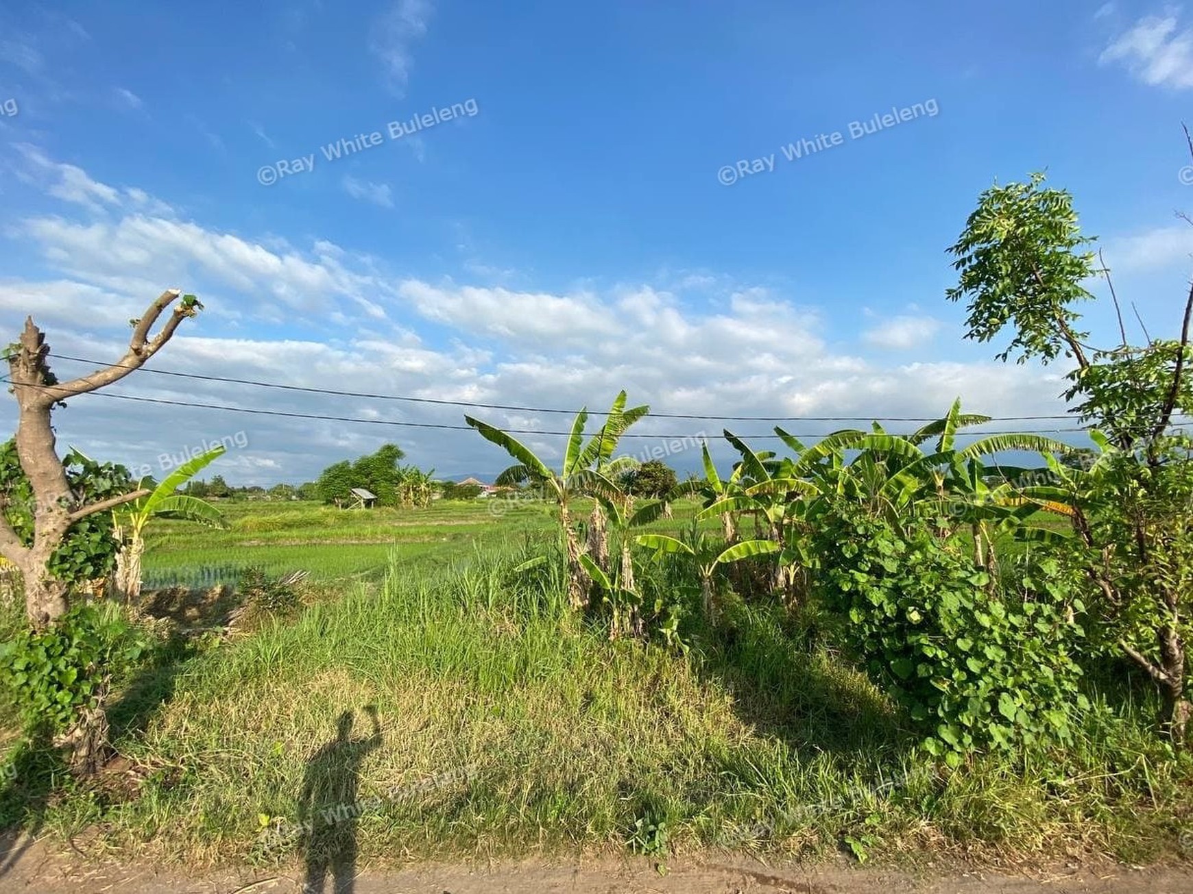 BEACH FRONT LAND LOCATED IN SINGARAJA CITY SIDE