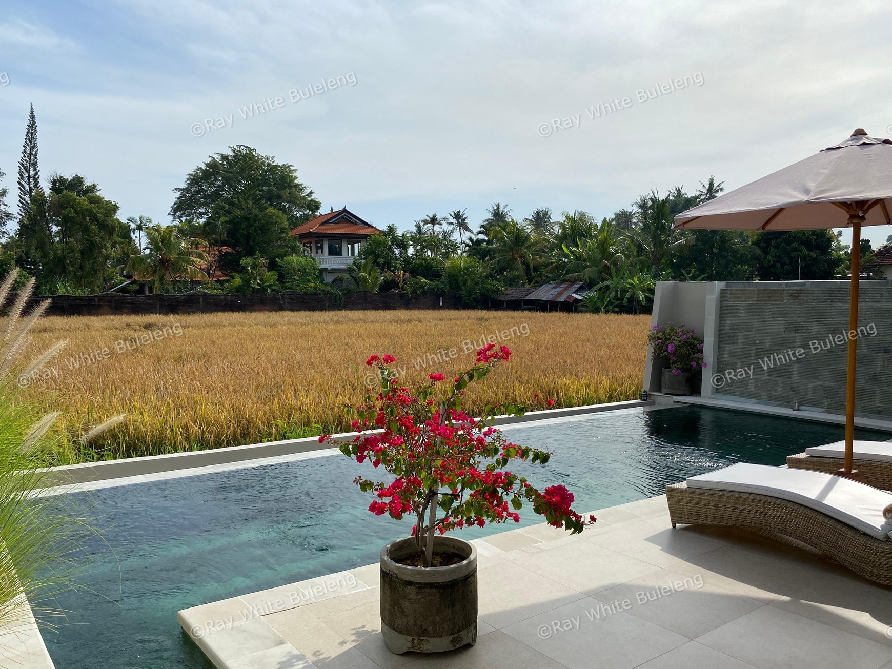 Modern Villa with Breathtaking Rice Field View