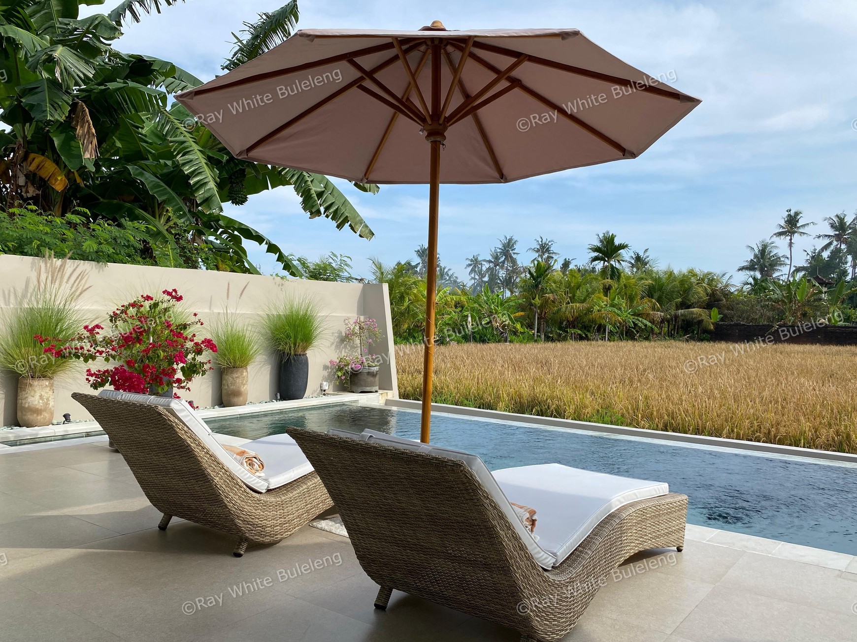 Modern Villa with Breathtaking Rice Field View