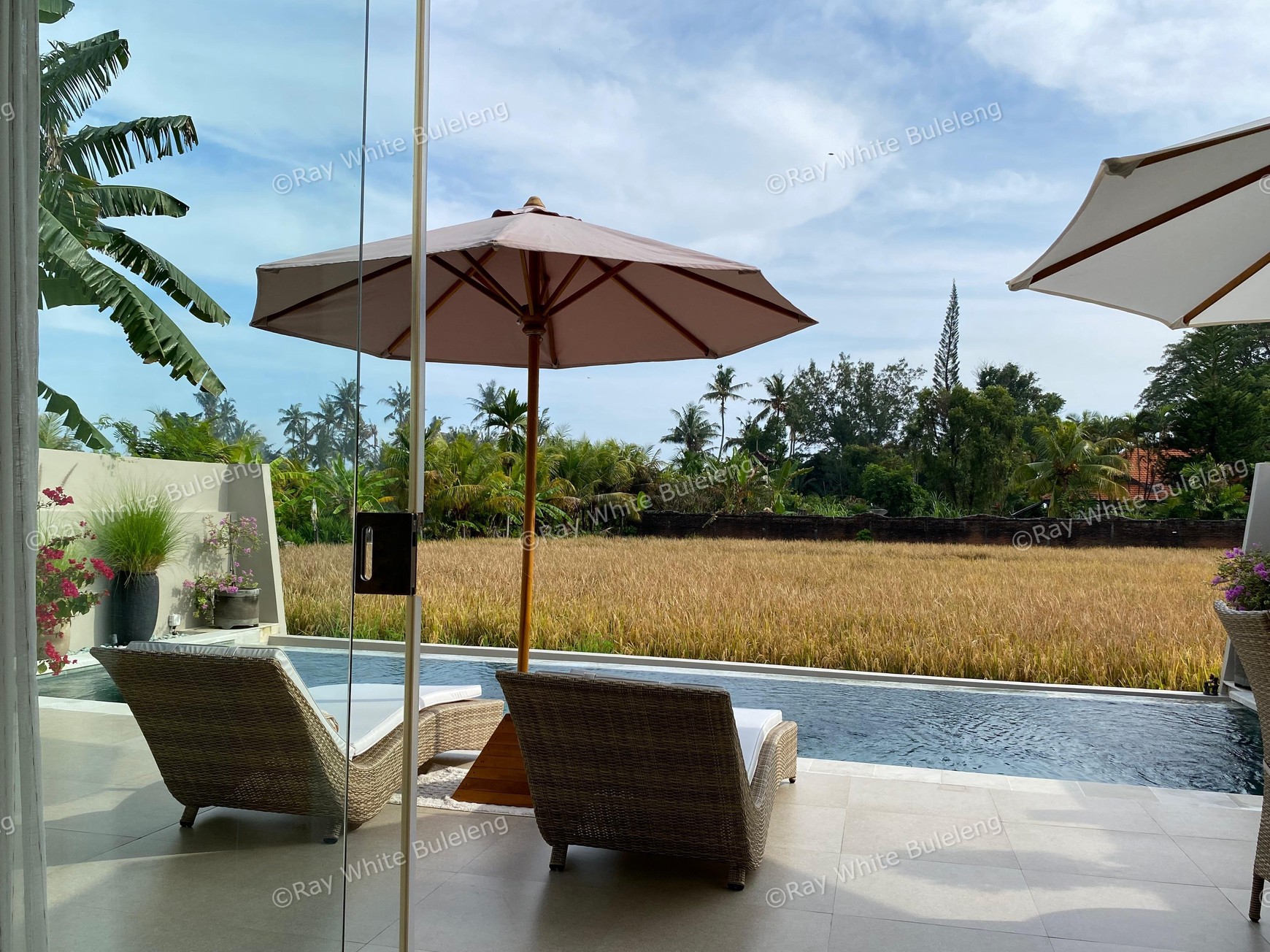 Modern Villa with Breathtaking Rice Field View
