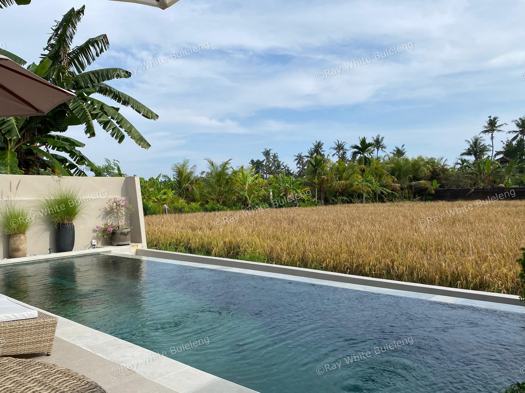 Modern Villa with Breathtaking Rice Field View