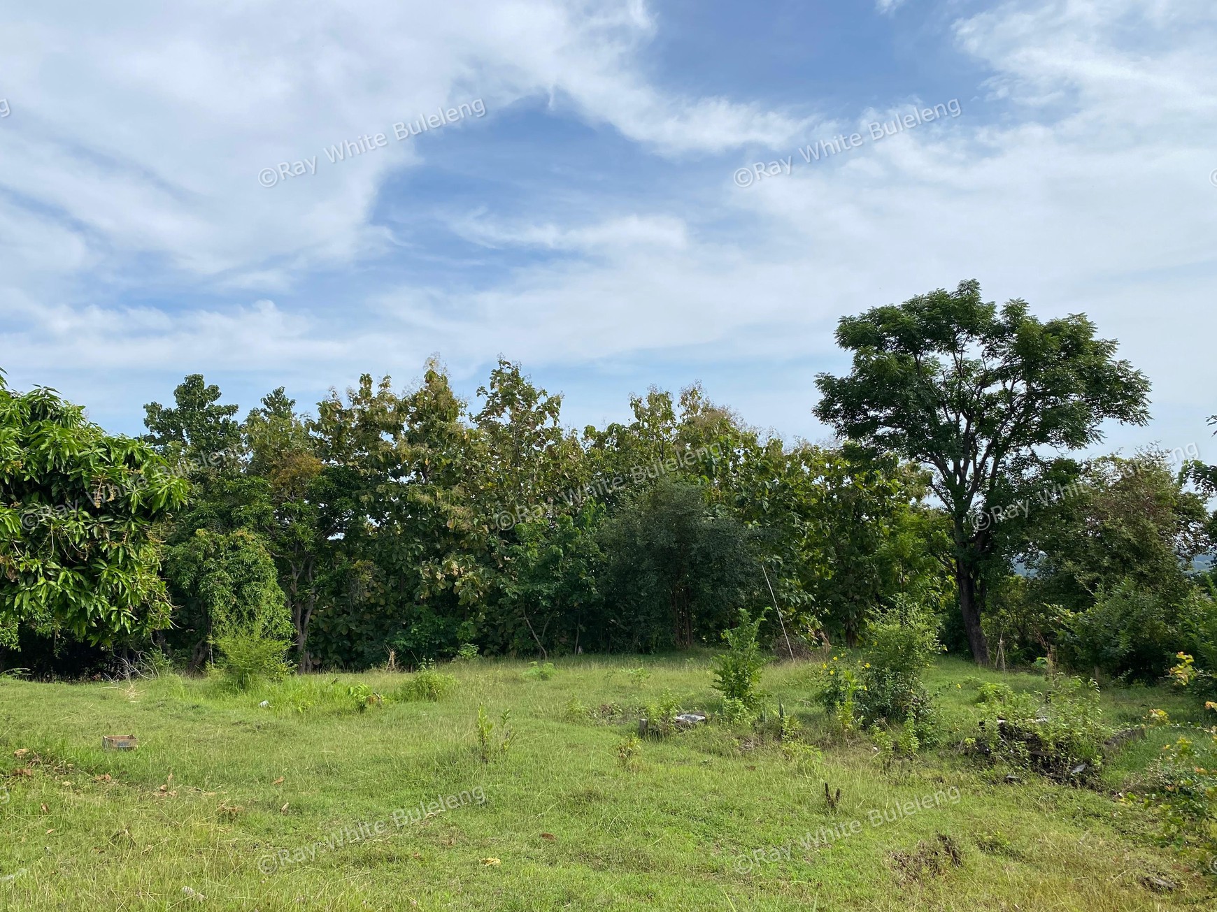Scenic Mountain View Land in Lovina - Perfect for Your Dream Villa