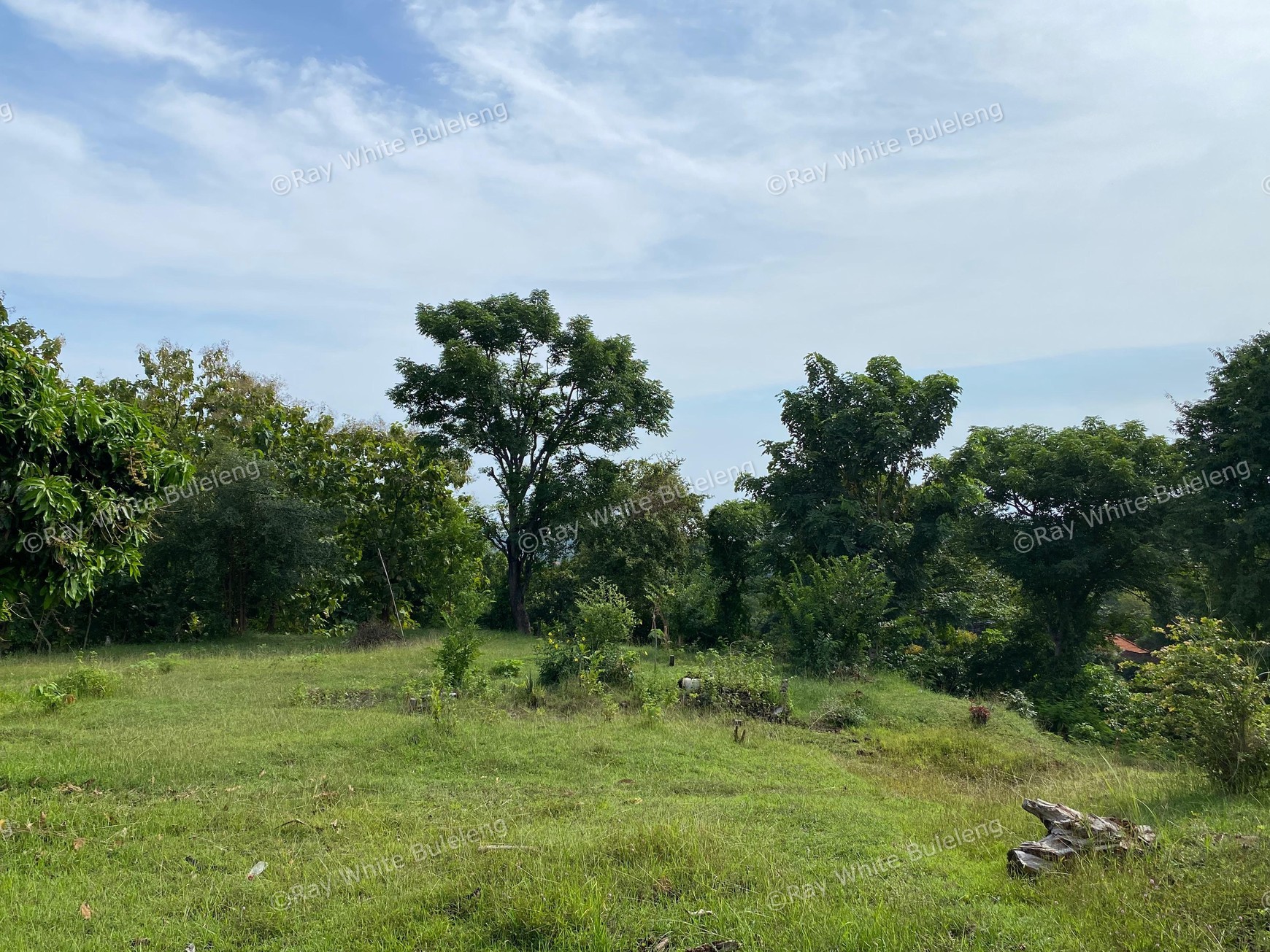 Scenic Mountain View Land in Lovina - Perfect for Your Dream Villa