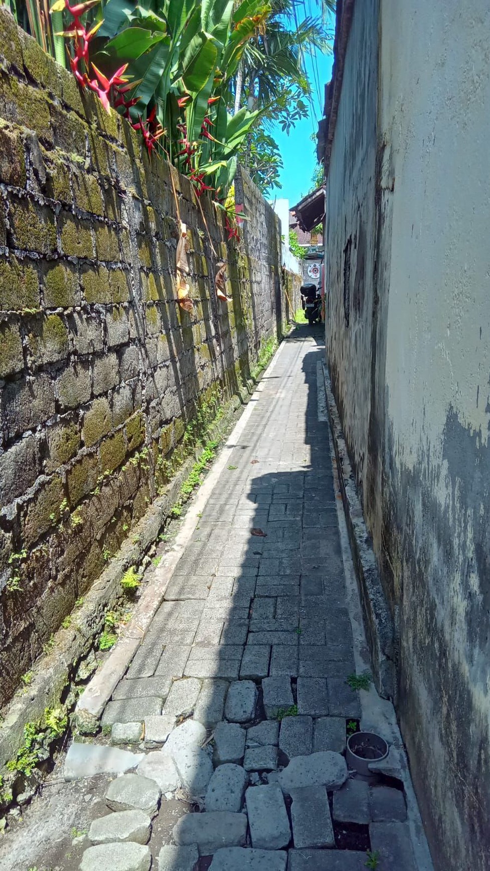 Rare Opportunity, Prime Land Freehold in Unbeatable Location, Seminyak Bali