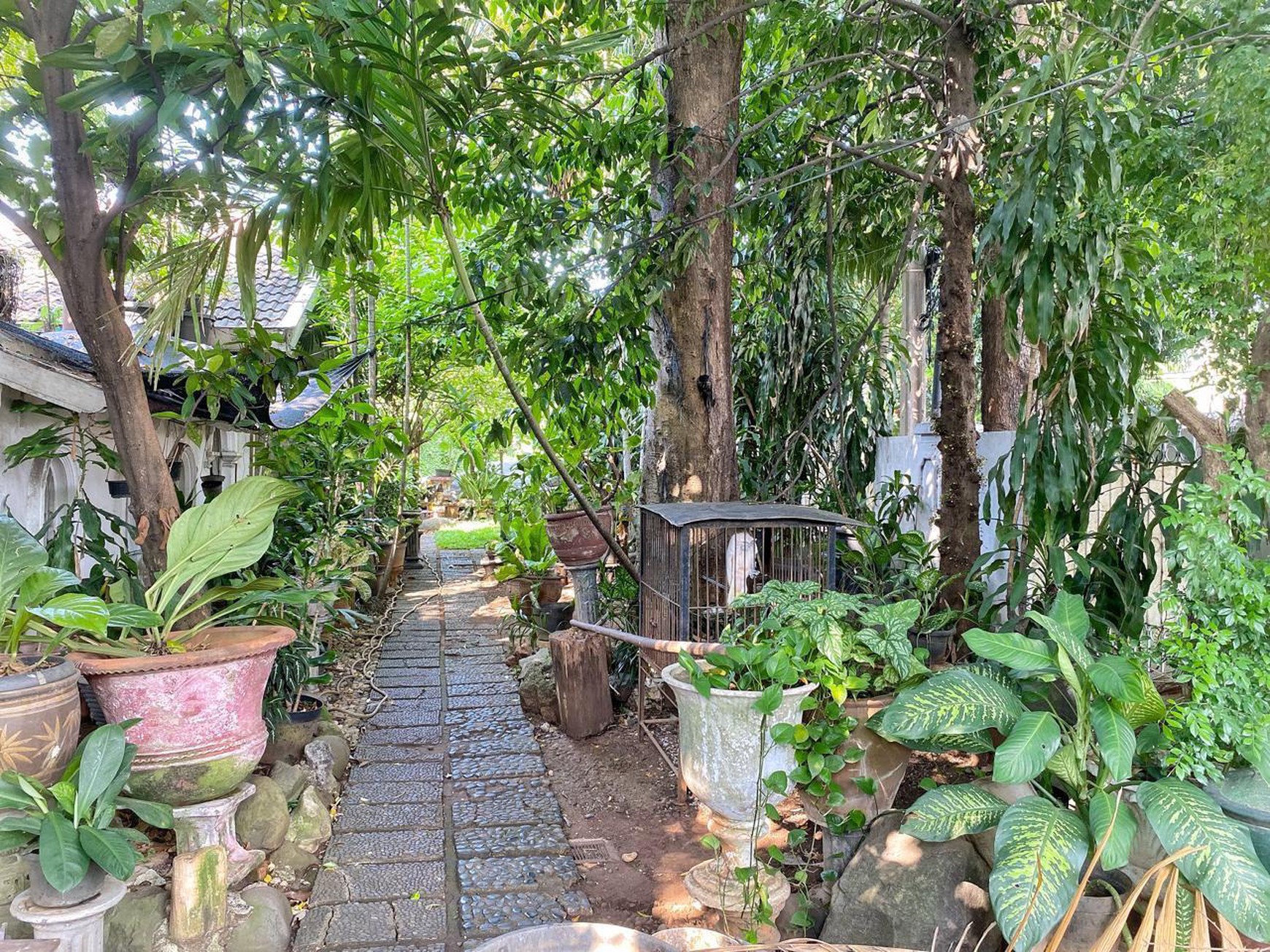 Rumah Di jual lokasi di Jl. Gudang Peluru Selatan Kebon Baru, Tebet Jakarta Selatan