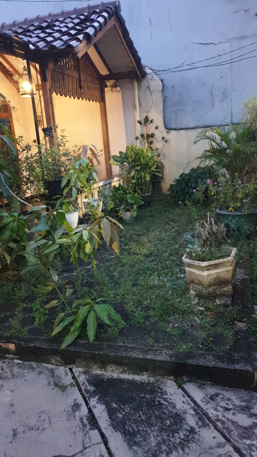 Rumah Asri, dan Nyaman di Larangan