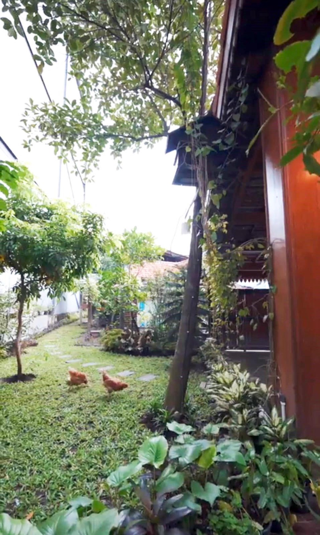 Rumah di Jl. Bedadung Surabaya Pusat dengan nuansa Bali ada kolam renang dan halaman luas yang asri dan nyaman untuk ditinggali