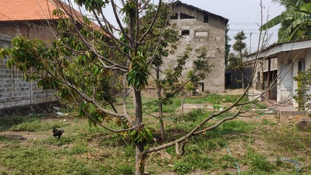 DIJUAL TANAH & SARANG BURUNG WALET SIAP PAKAI - nol JALAN MOJOSARI