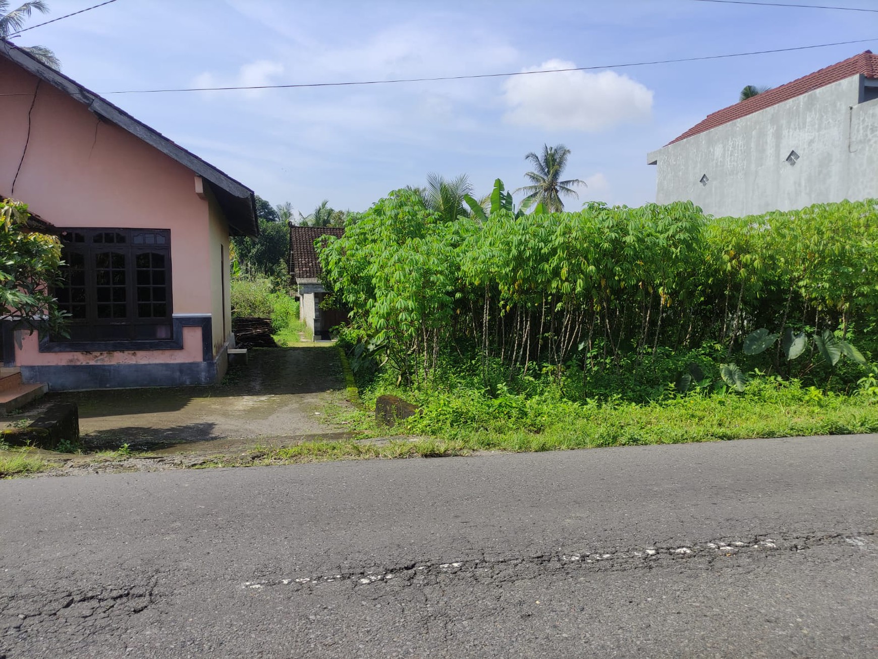 Tanah Sawah Harga Terjangkau 478 Meter Persegi Lokasi Jalan Sleman-Turi