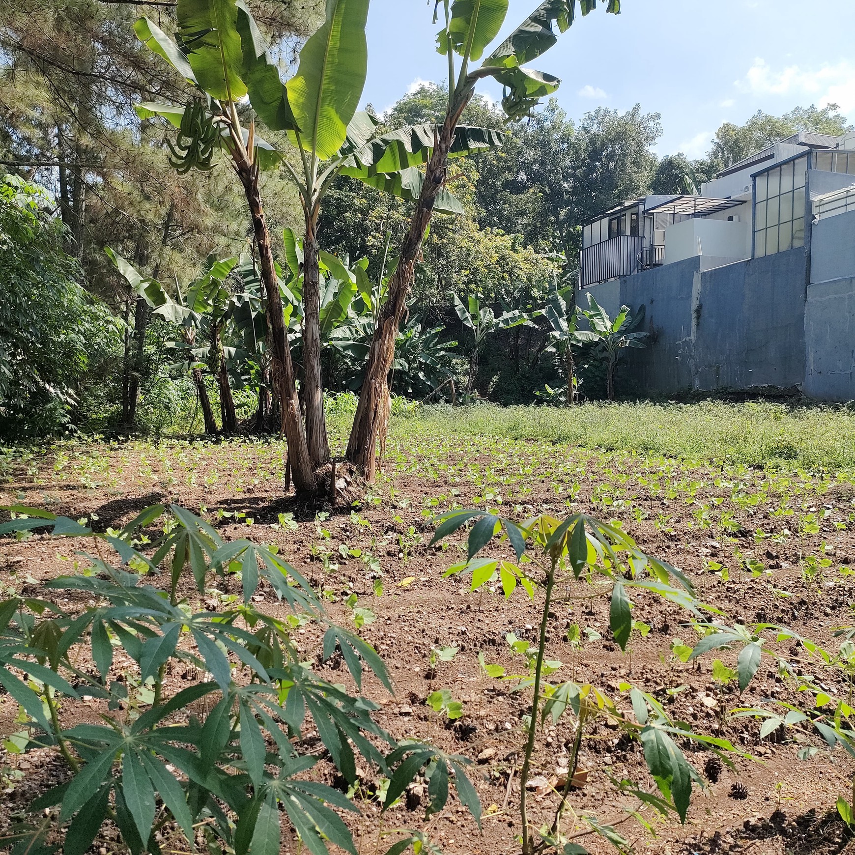 Dijual Tanah Siap Bangun di Sayap Gegerkalong, Bandung