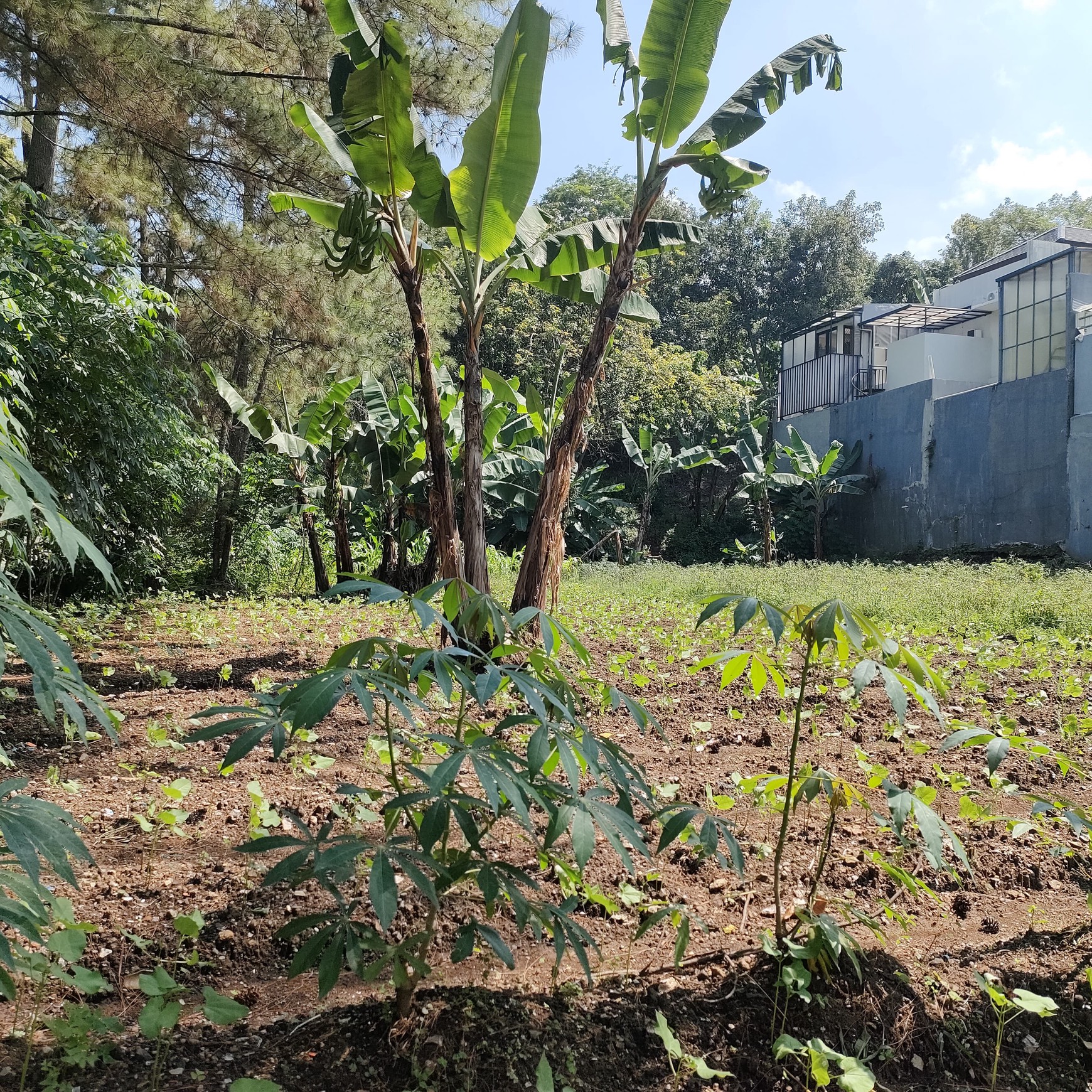 Dijual Tanah Siap Bangun di Sayap Gegerkalong, Bandung