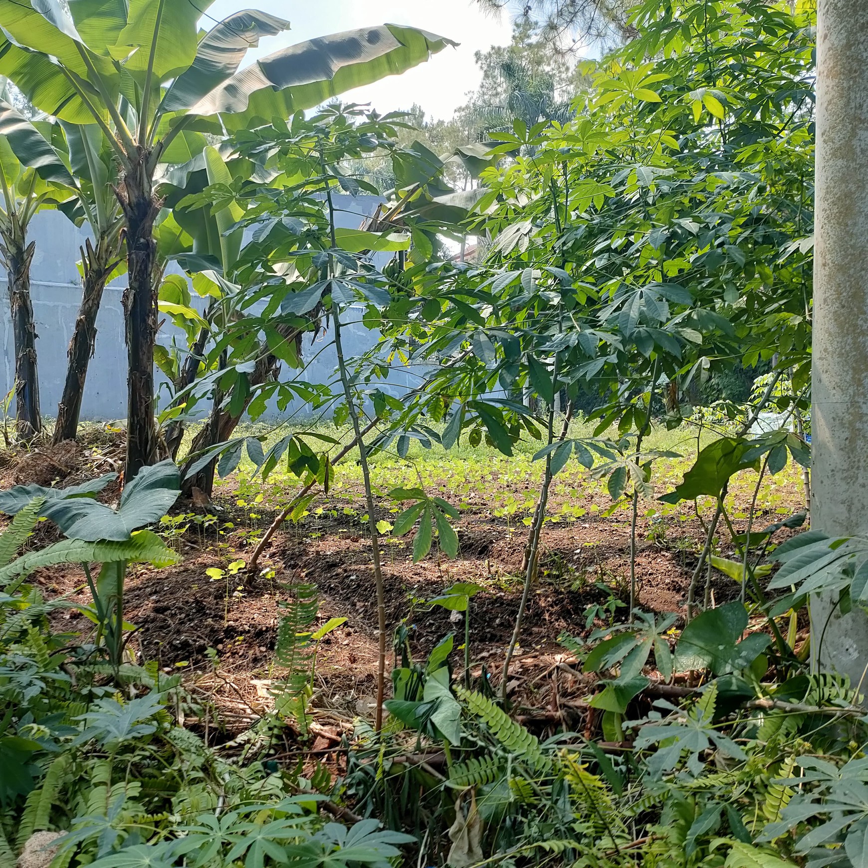 Dijual Tanah Siap Bangun di Sayap Gegerkalong, Bandung