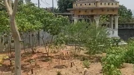 Kavling Lokasi Strategis di Jl Borobudur Selatan, Semarang Selatan