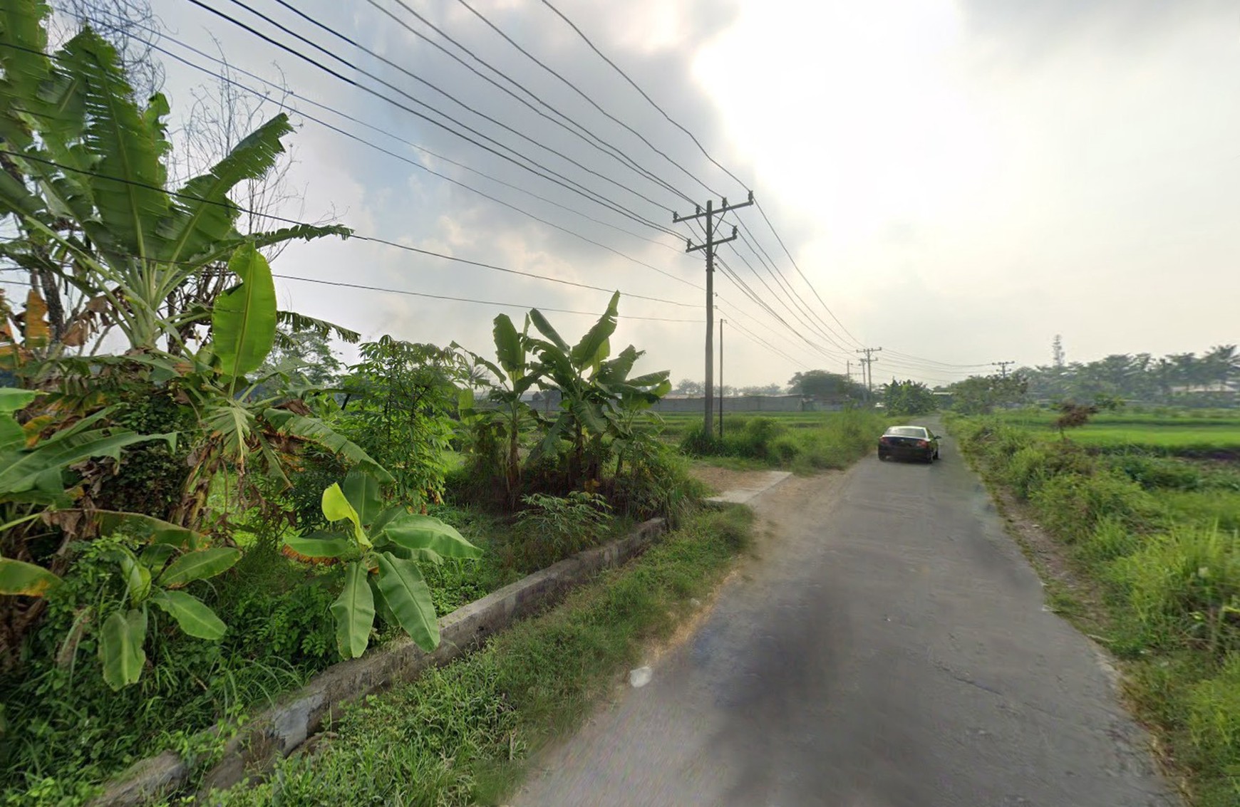 Tanah368 Meter Persegi di Caturharjo Sleman