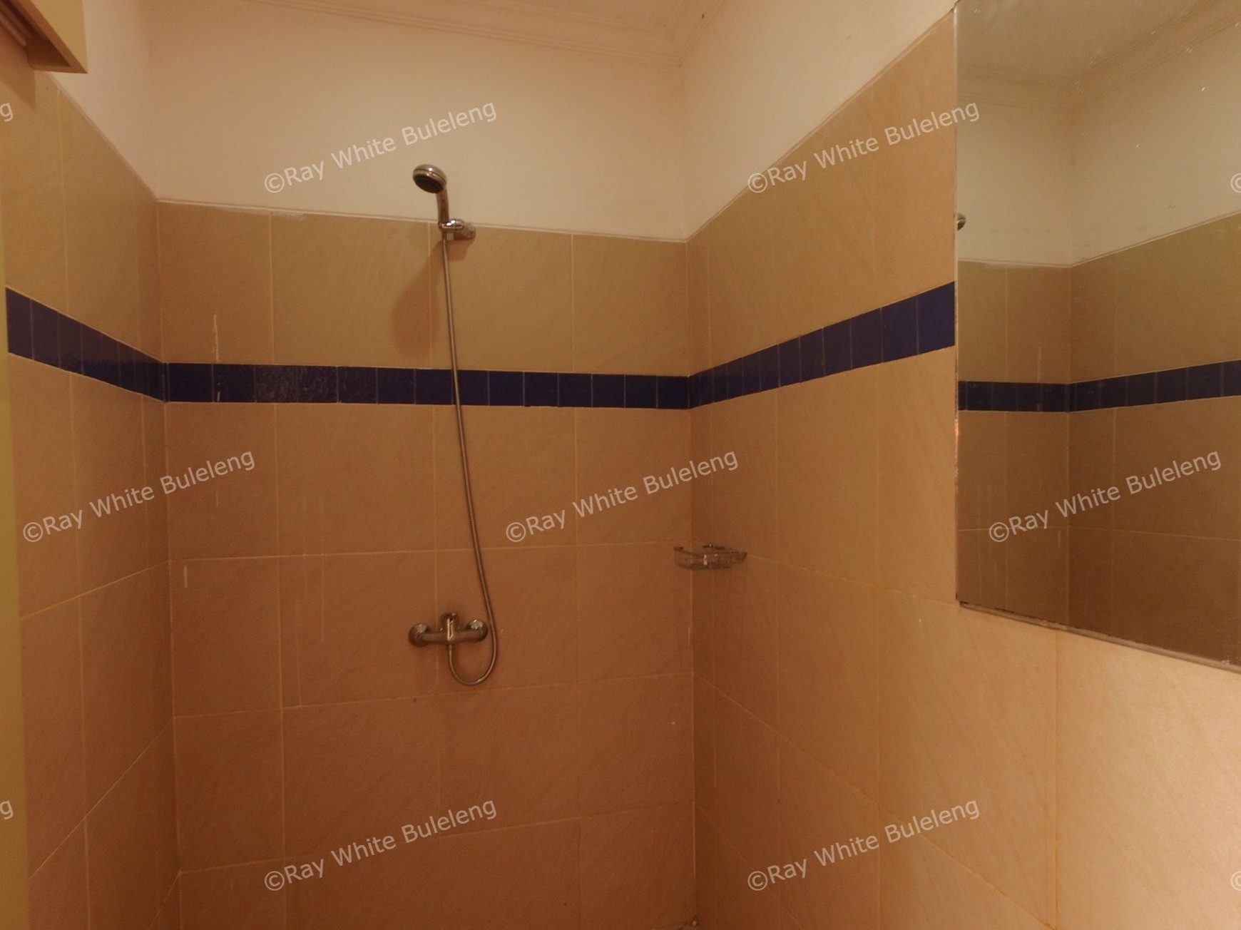 LARGE VILLA 15 MINUTES FROM LOVINA SITUATED IN QUIET AREA