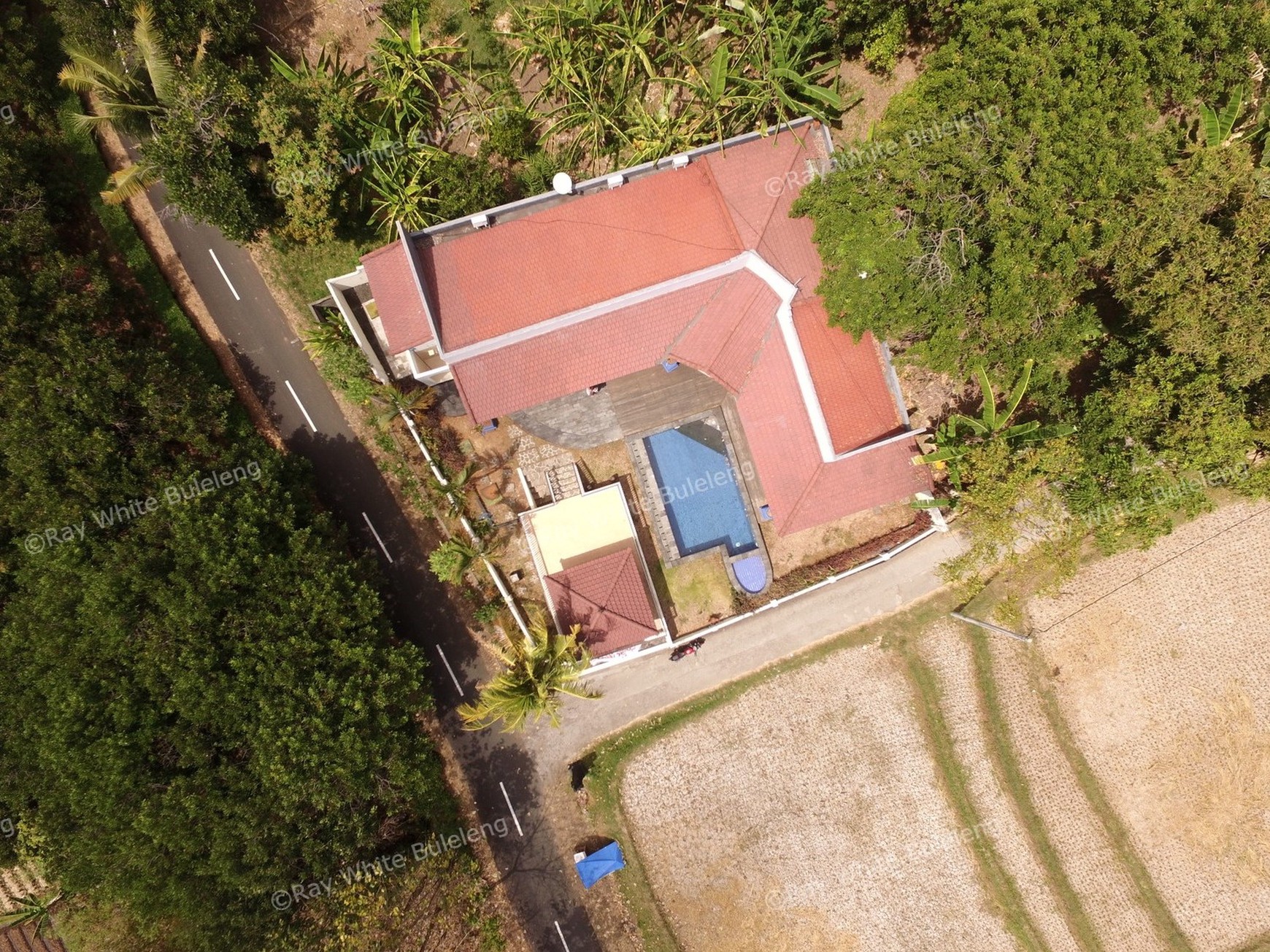 LARGE VILLA 15 MINUTES FROM LOVINA SITUATED IN QUIET AREA