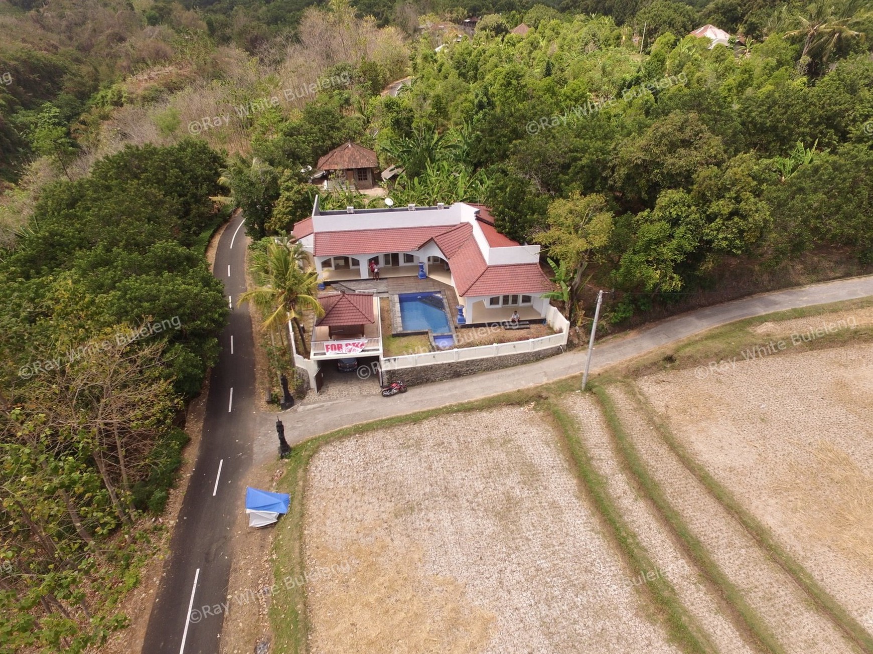 LARGE VILLA 15 MINUTES FROM LOVINA SITUATED IN QUIET AREA
