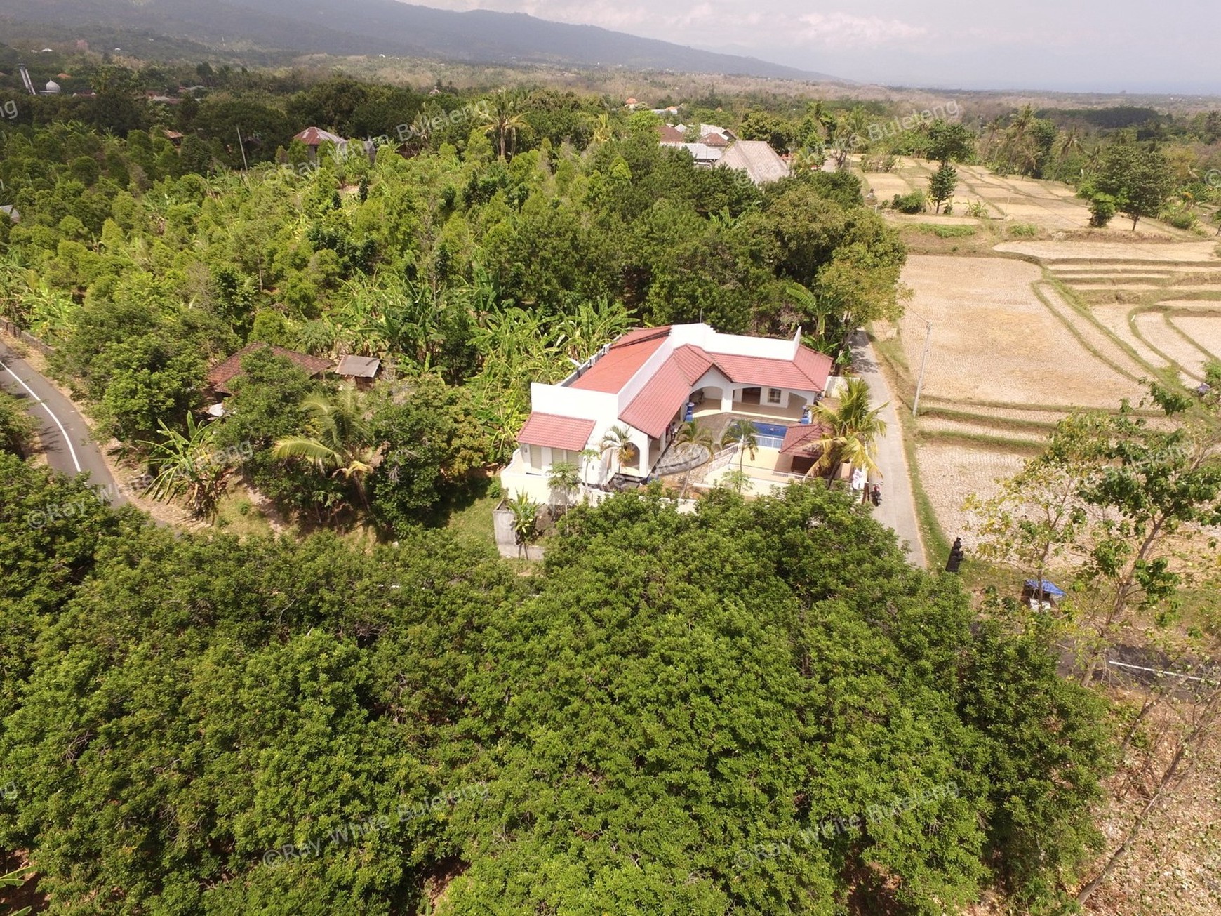 LARGE VILLA 15 MINUTES FROM LOVINA SITUATED IN QUIET AREA