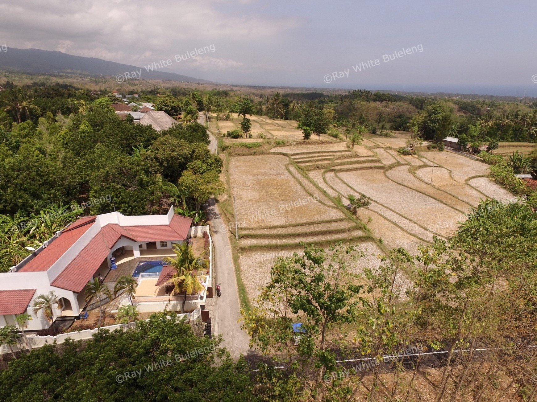 LARGE VILLA 15 MINUTES FROM LOVINA SITUATED IN QUIET AREA