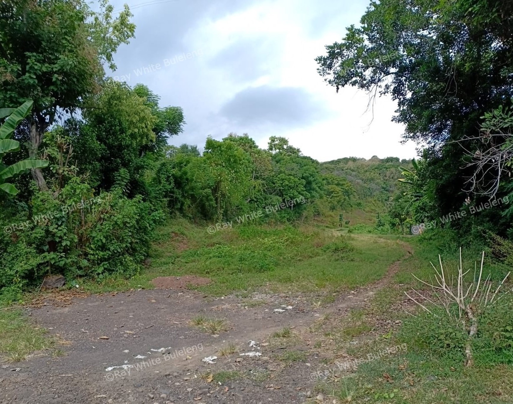 LAND FOR SALE