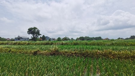 BEACH VIEW LAND LOCATED IN SINGARAJA CITY SIDE