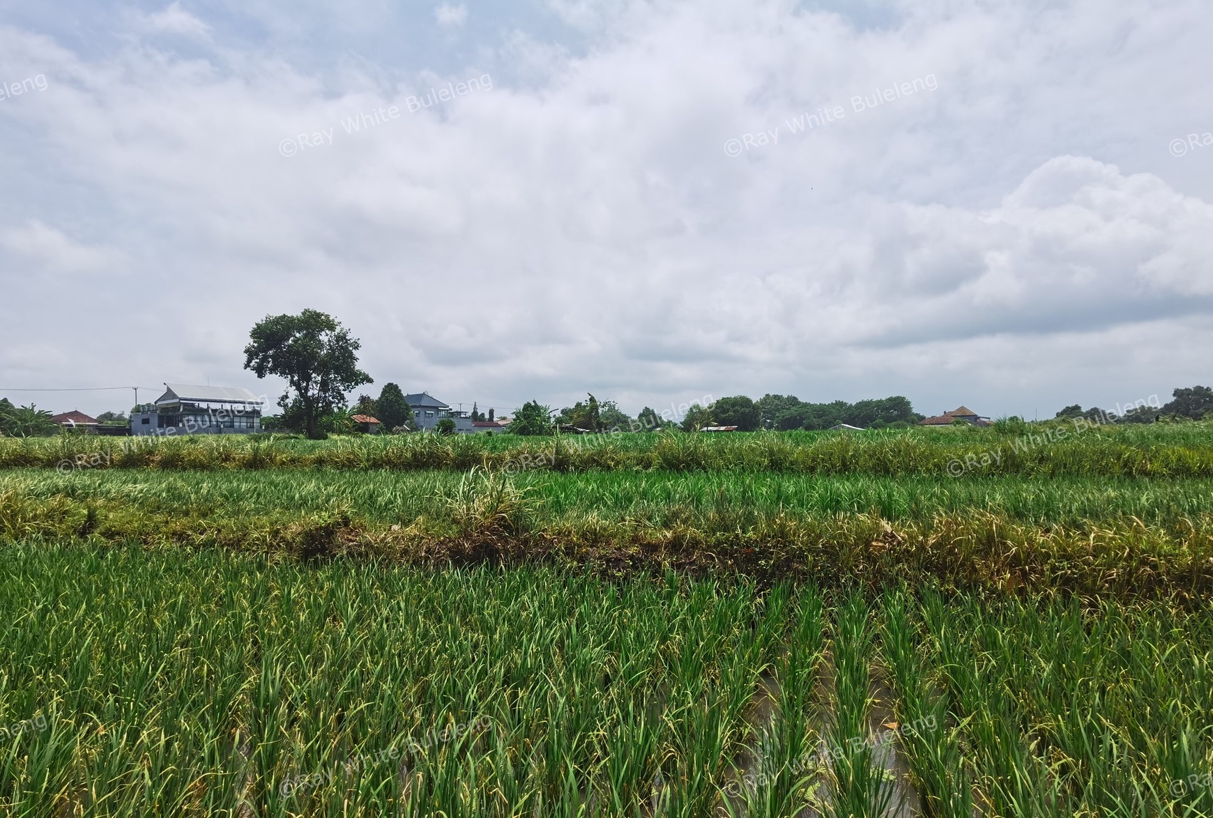 BEACH VIEW LAND LOCATED IN SINGARAJA CITY SIDE