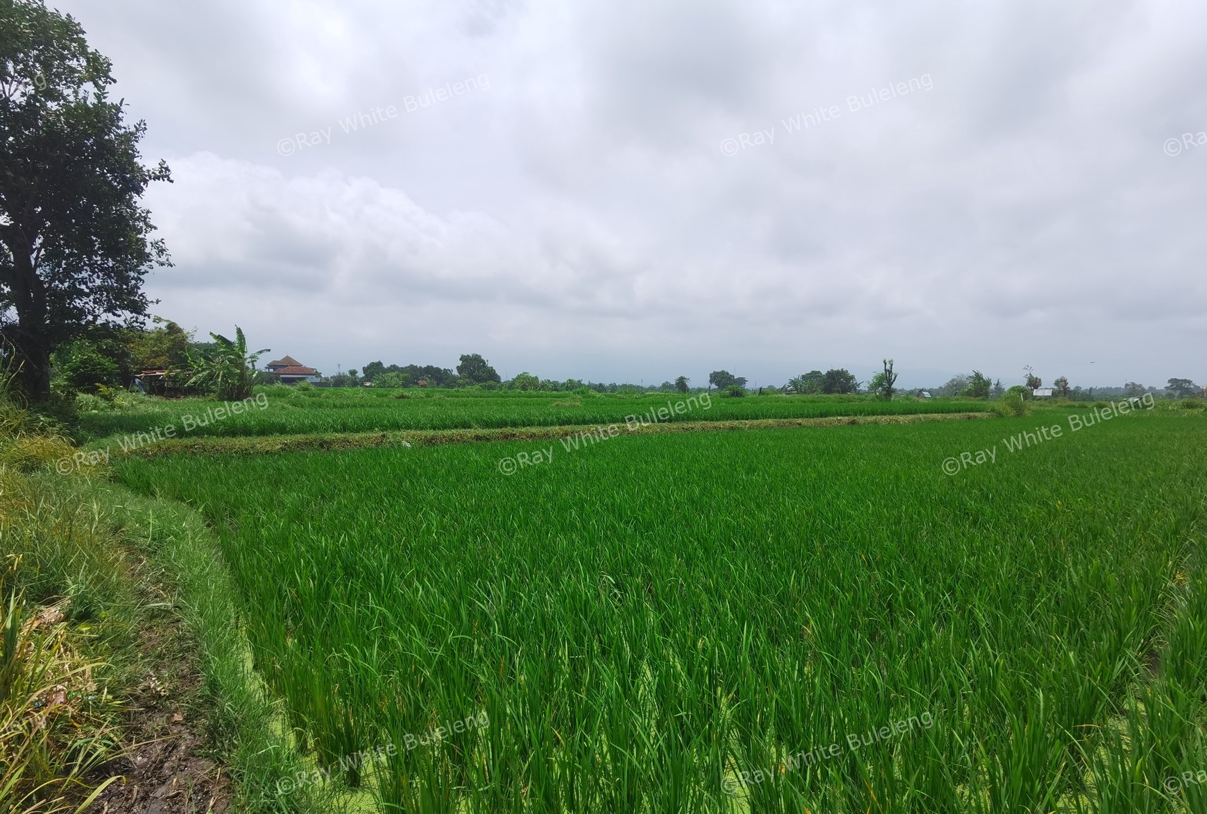 BEACH VIEW LAND LOCATED IN SINGARAJA CITY SIDE