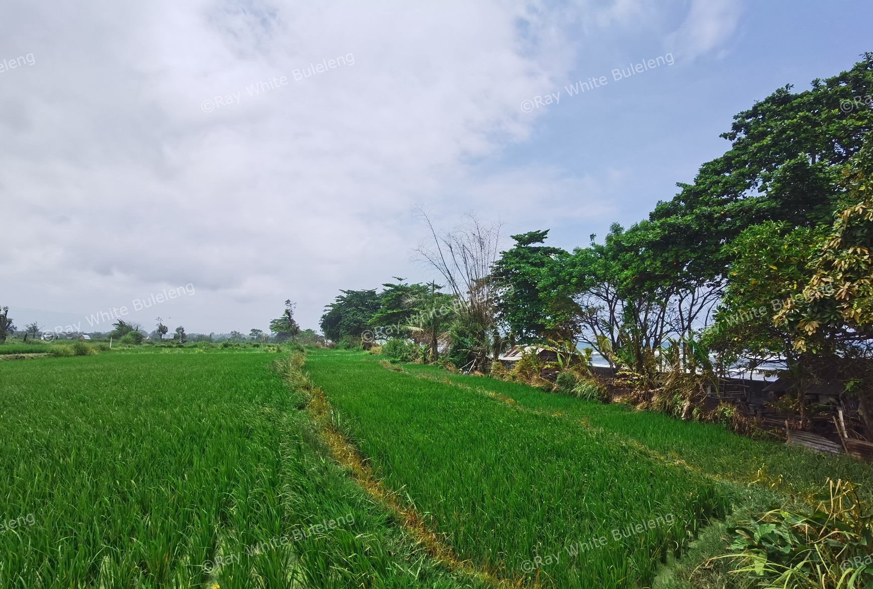 BEACH VIEW LAND LOCATED IN SINGARAJA CITY SIDE