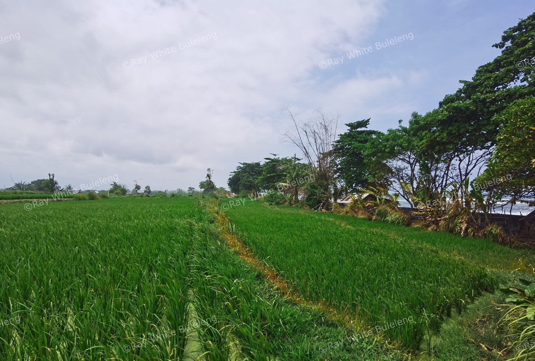 BEACH VIEW LAND LOCATED IN SINGARAJA CITY SIDE