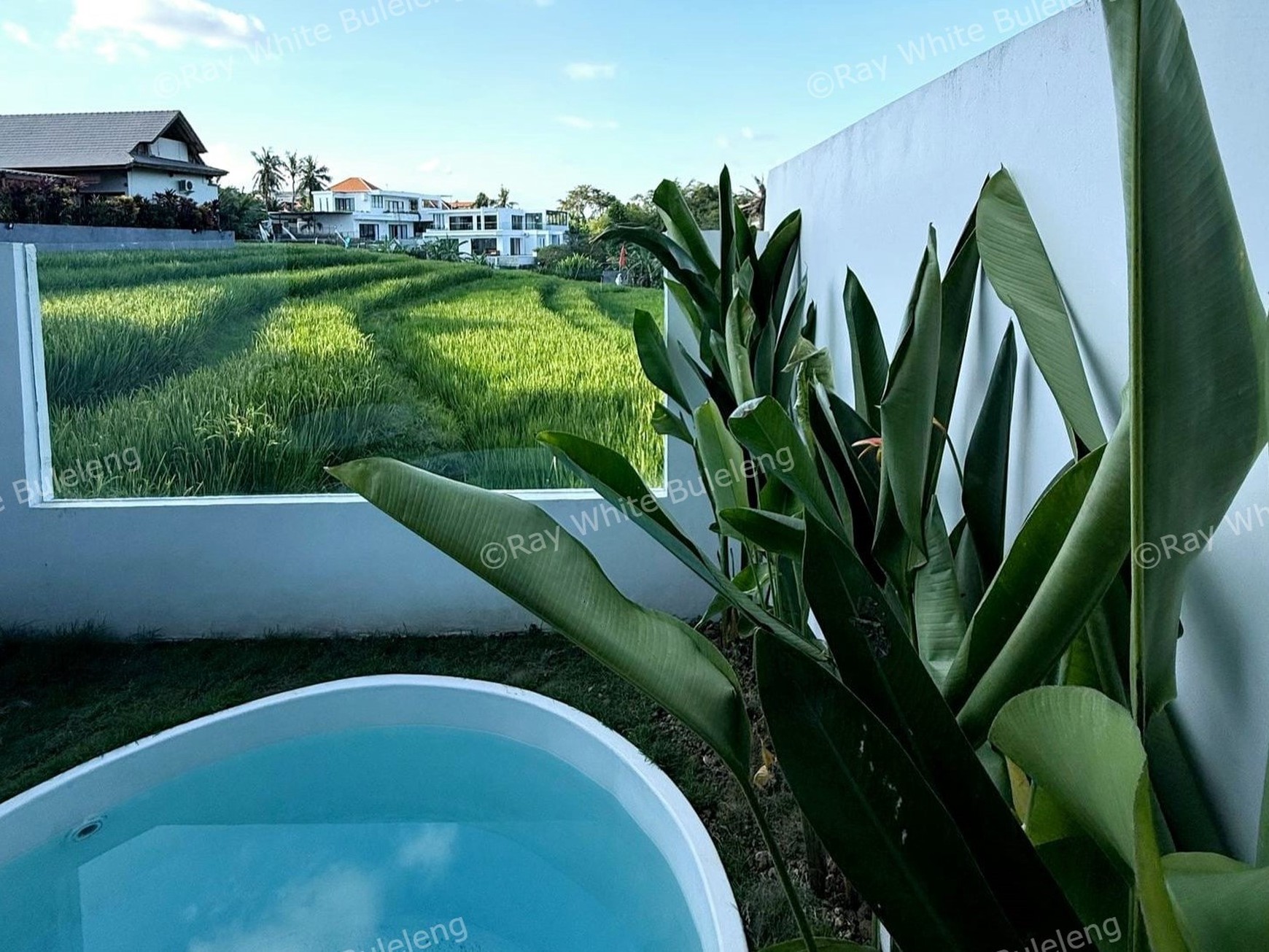Stylish Loft Villa with Rice Field View for Lease in Canggu