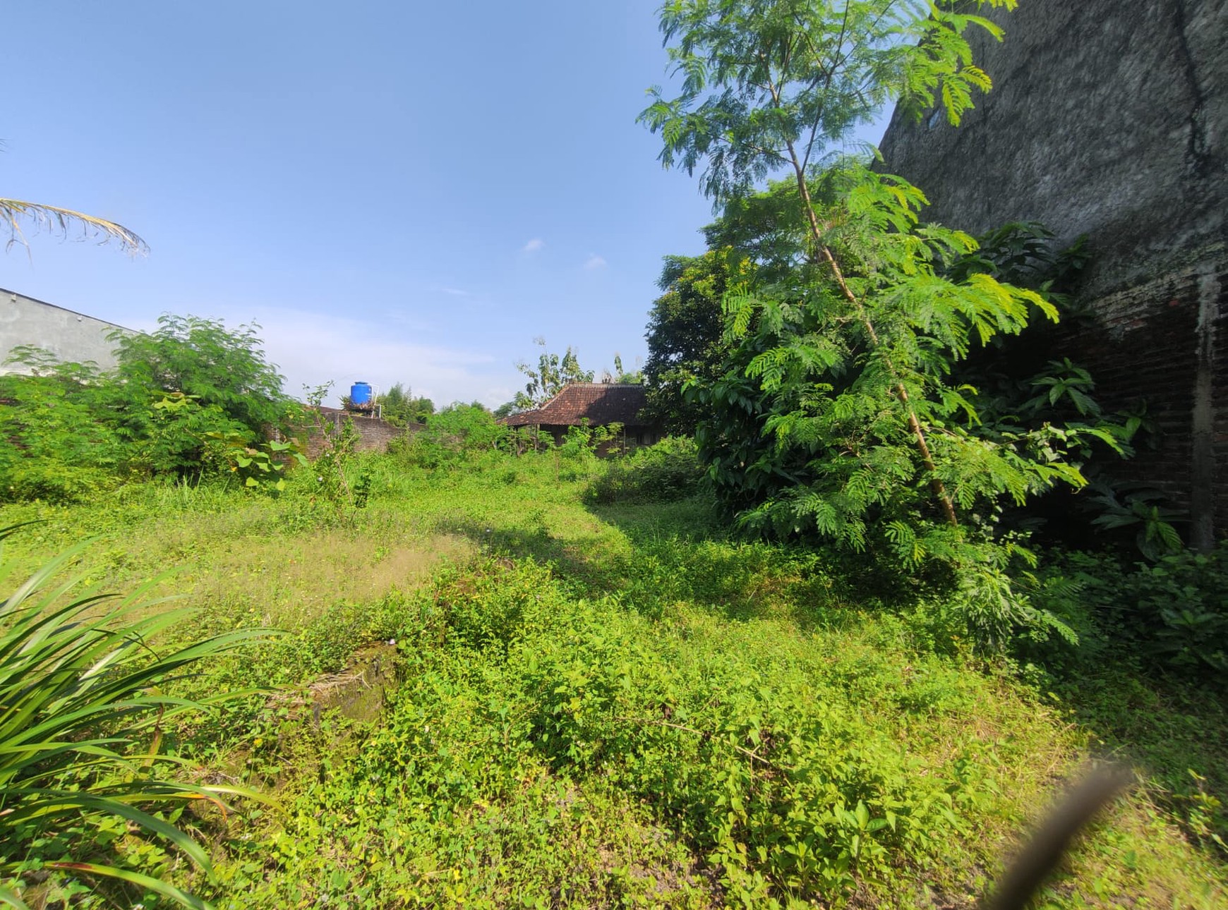Tanah 2181 Meter Persegi Cocok Untuk Cluster Lokasi Tirtomartani Kalasan Sleman