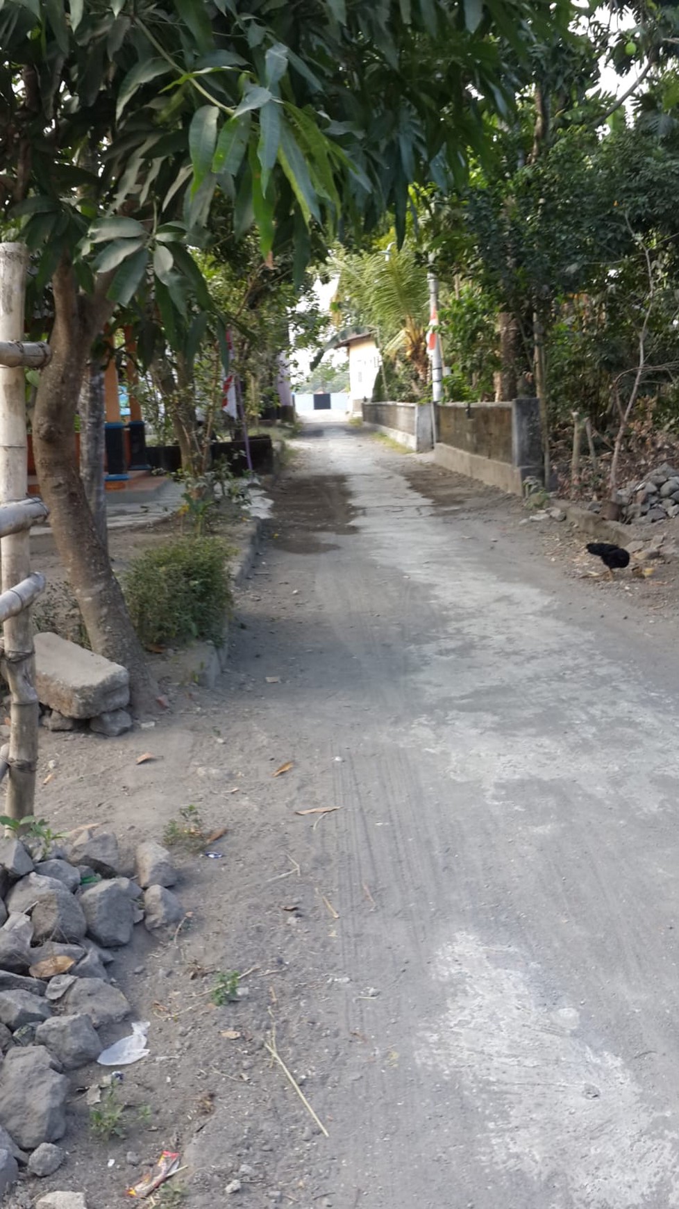 Tanah Strategis 580 Meter Berada di Jalan Jogja-Solo Km 19 Prambanan Klaten 
