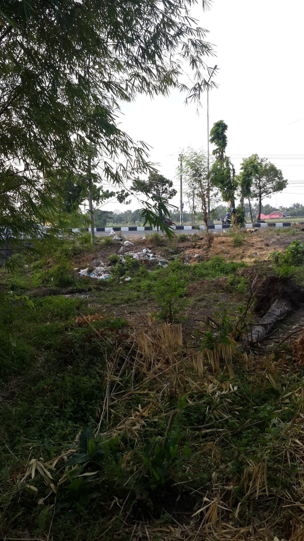 Tanah Strategis 580 Meter Berada di Jalan Jogja-Solo Km 19 Prambanan Klaten 