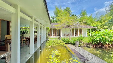 TROPICAL 5-BEDROOM VILLA JUST 3 MINUTES WALK TO LOVINA BEACH