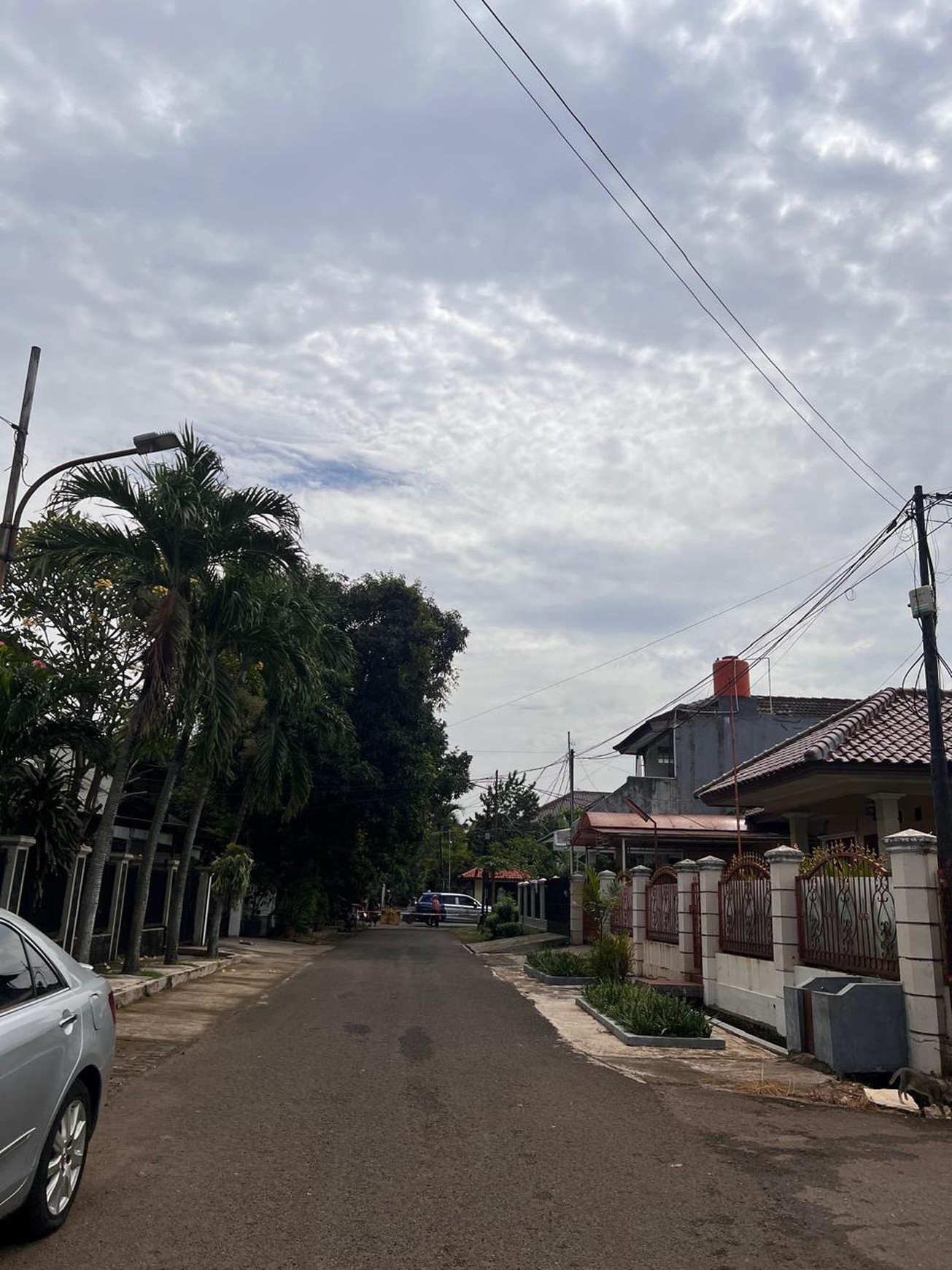 Rumah dengan halaman luas, asri dan terawat di Delman Tanah Kusir
