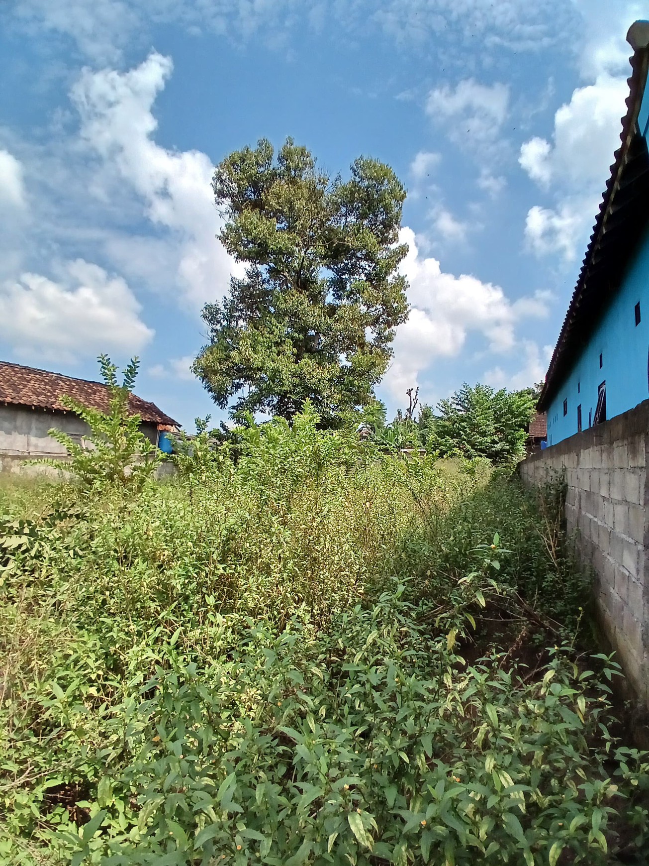 Tanah 253 Meter Persegi Lokasi Dekat Pasar Potorono Sitimulyo Piyungan Bantul