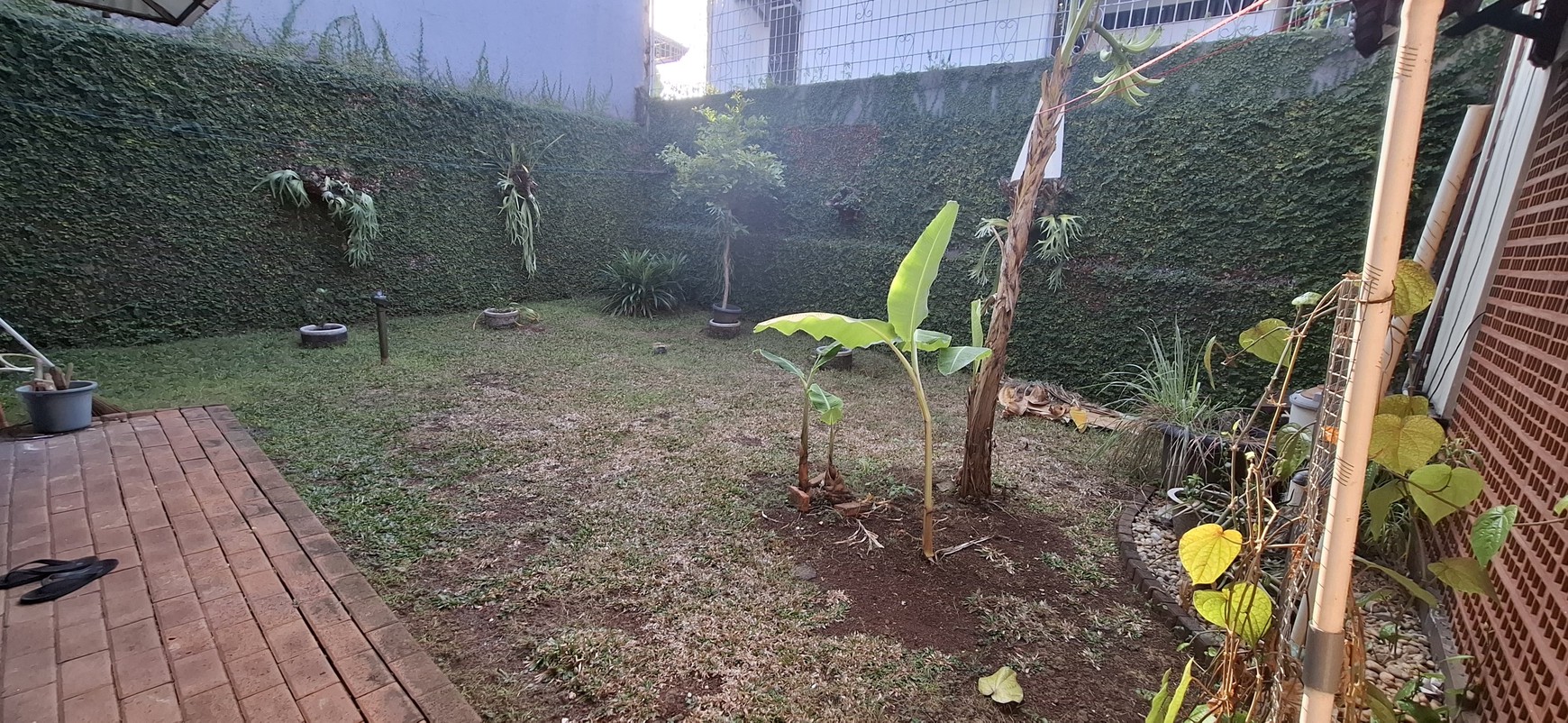 Rumah Minimalis di Bintaro Jaksel Luas 300 Harga Menarik