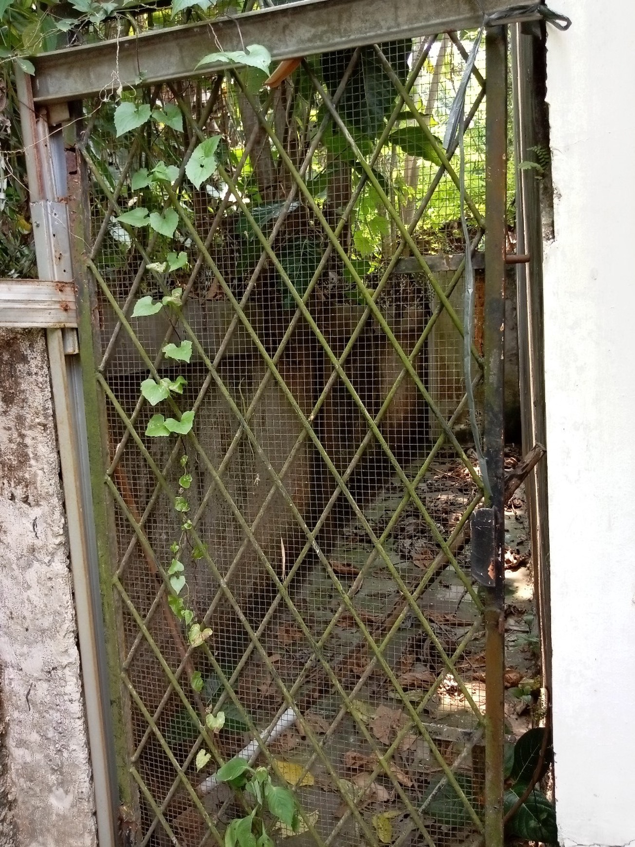 Rumah Siap Huni dengan Hunian Nyaman dan Asri di Depok.