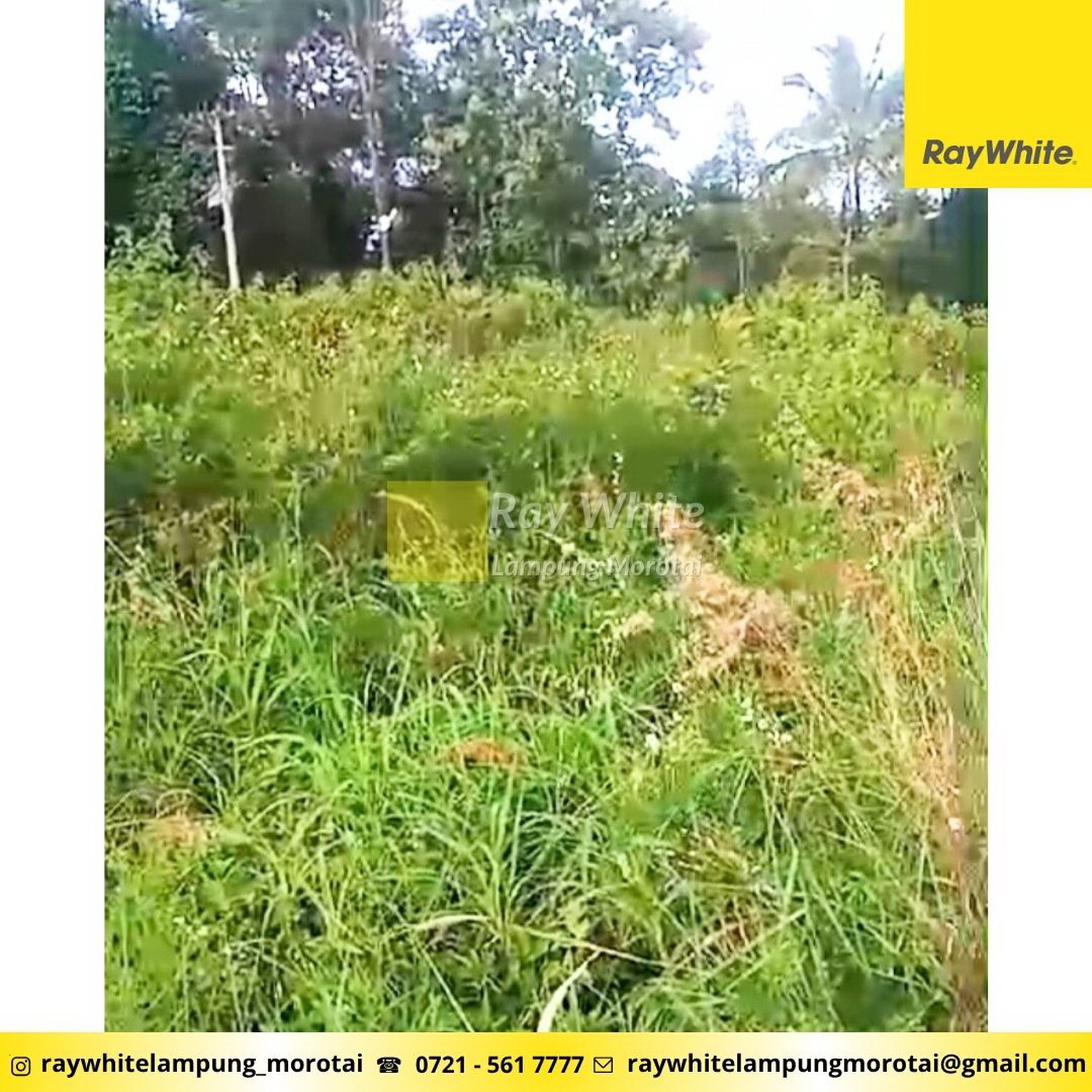 Dijual tanah daerah tanjung karang barat