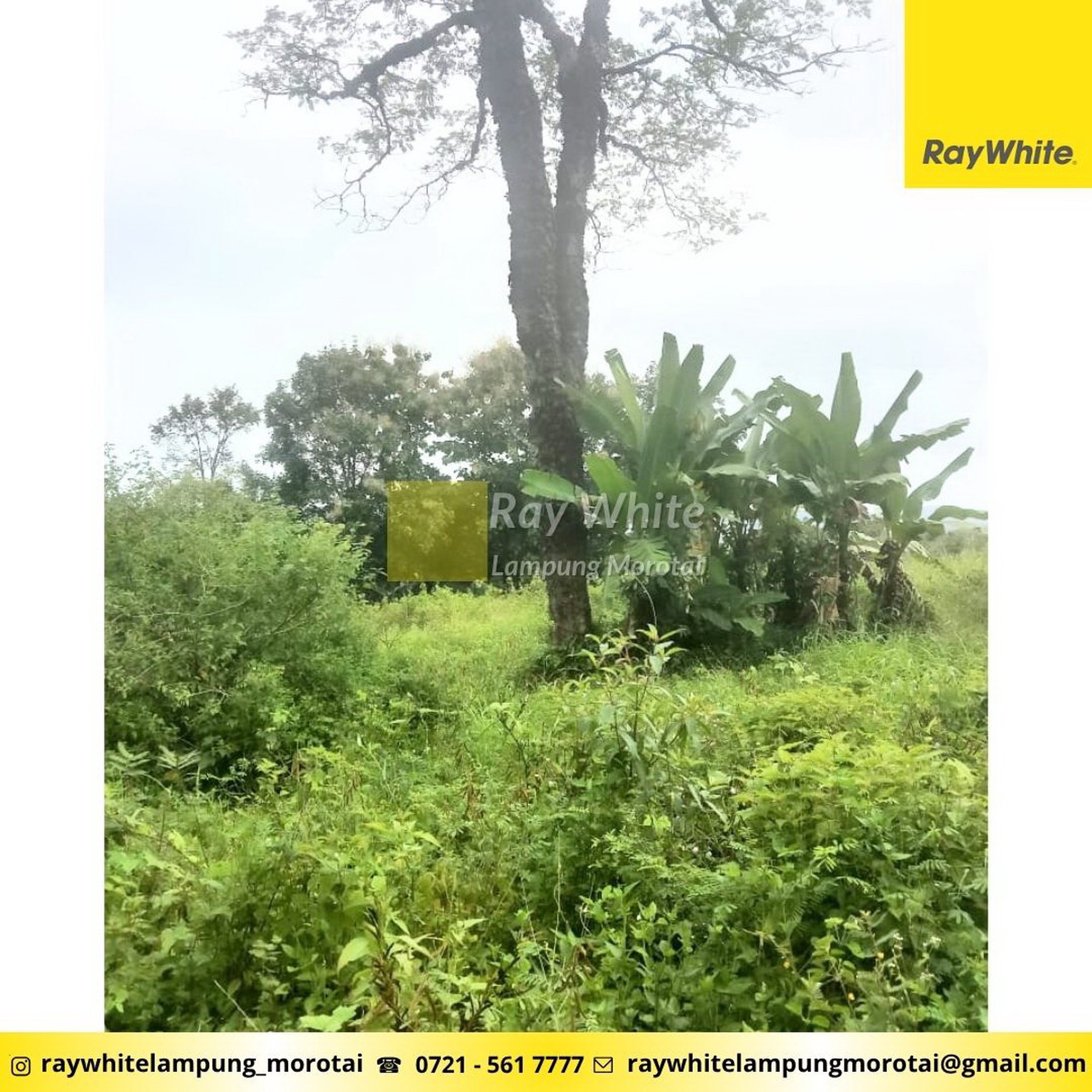 Dijual tanah daerah tanjung karang barat