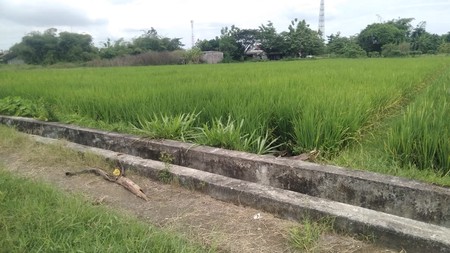 Tanah Sawah 640 Meter Persegi Lokasi Timbulharjo Sewon Bantul