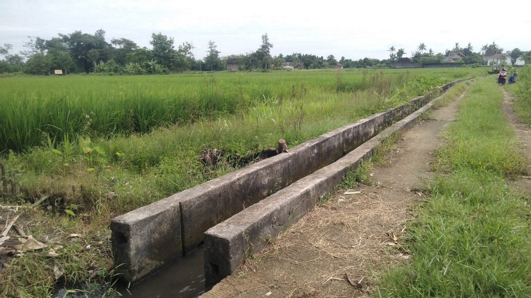Tanah Sawah 640 Meter Persegi Lokasi Timbulharjo Sewon Bantul