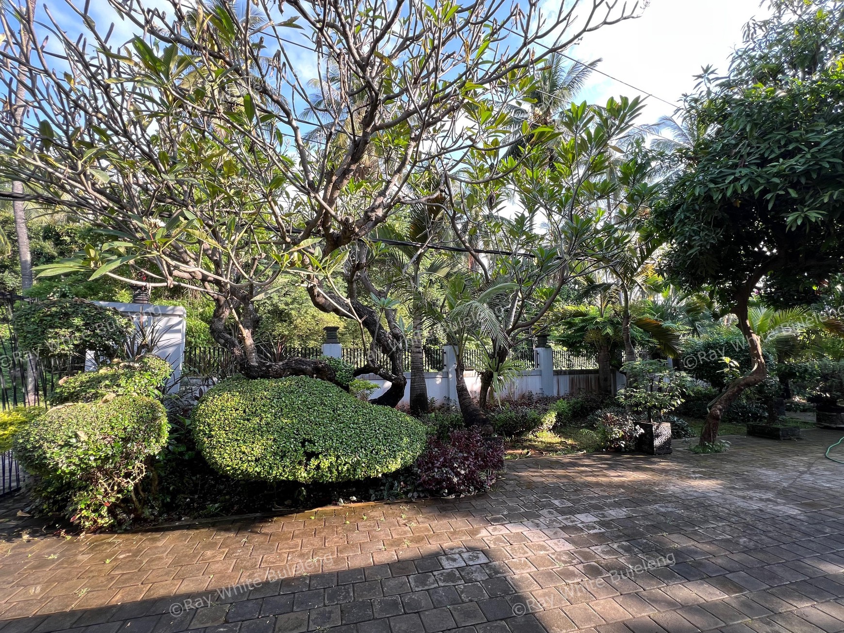 Elegant Beachfront Villa with Ocean View Terrace & Expansive Grounds