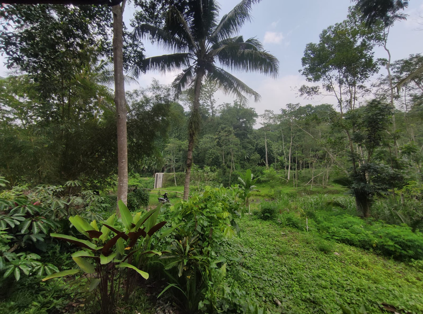 Miliki Villa Asri Dalam Wisata Ledok Sambi Umbulharjo Cangkringan Sleman