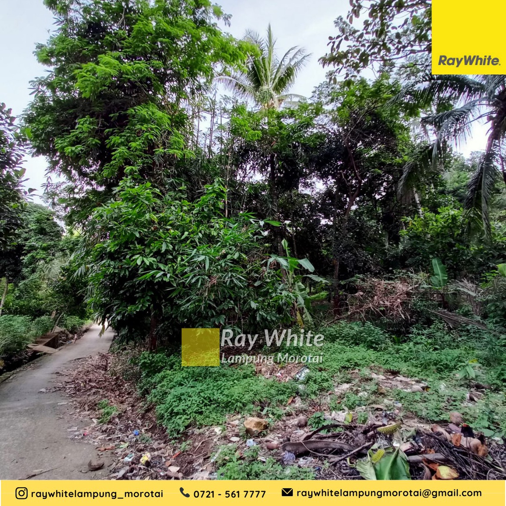 Dijual tanah kebun kalianda 50 ribu/meter