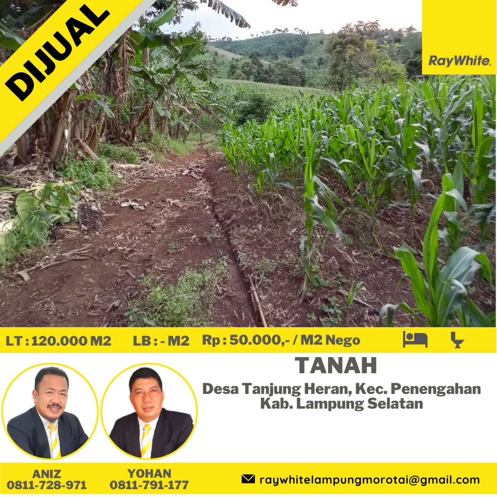 Dijual tanah kebun kalianda 50 ribu/meter