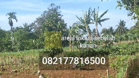 Dijual Tanah lokasi Katibung padasuka lampung selatan